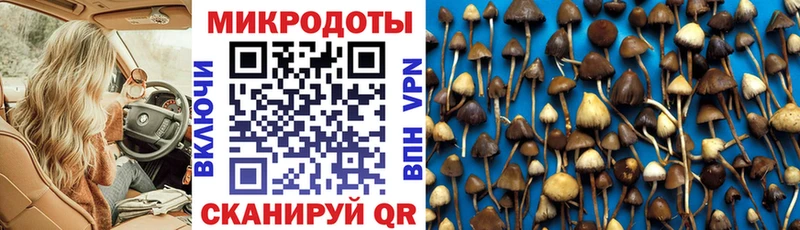Галлюциногенные грибы ЛСД  Котельнич 