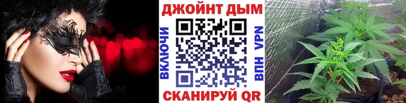 Шишки марихуана сатива Котельнич