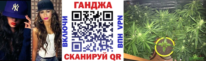Конопля сатива  Котельнич 